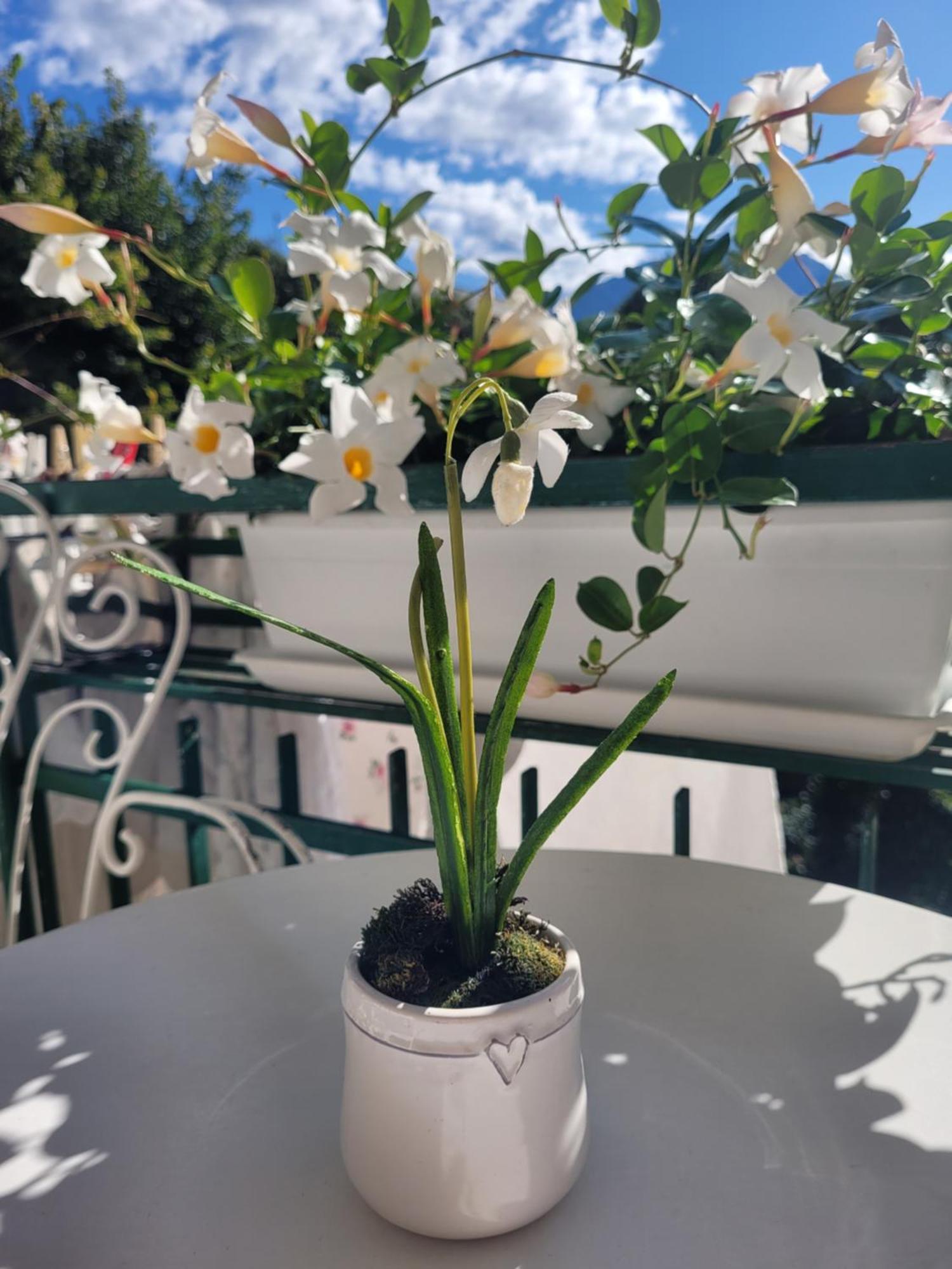B&B Dal Nonno Riva del Garda Exteriör bild