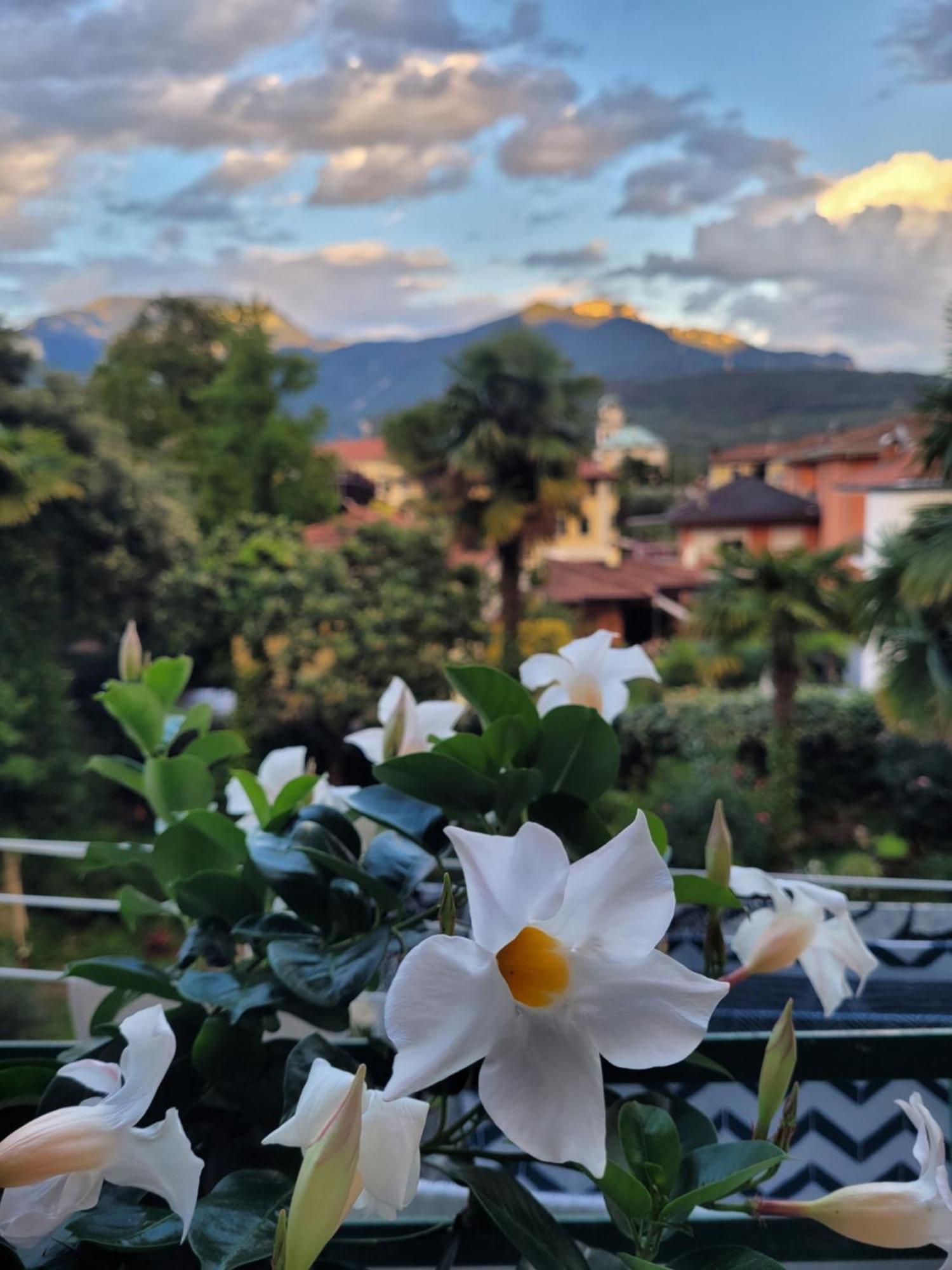 B&B Dal Nonno Riva del Garda Exteriör bild