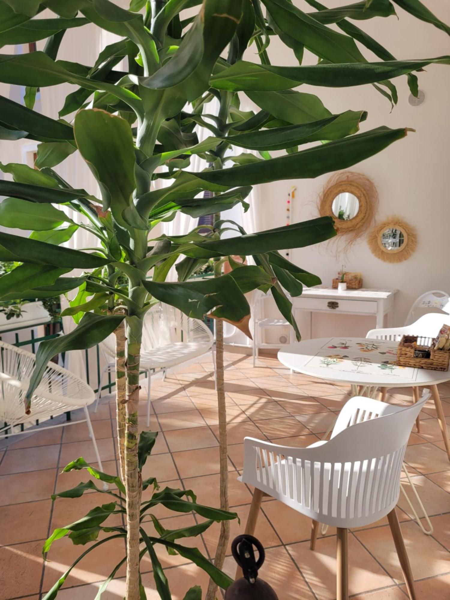 B&B Dal Nonno Riva del Garda Exteriör bild